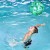 pol_pl_The-Swim-Essentials-Duza-pilka-Tropical-2020SE176-1562_3.jpg