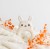 Zrzut ekranu_25-11-2025_141454_kidsinspirations.pl.jpeg