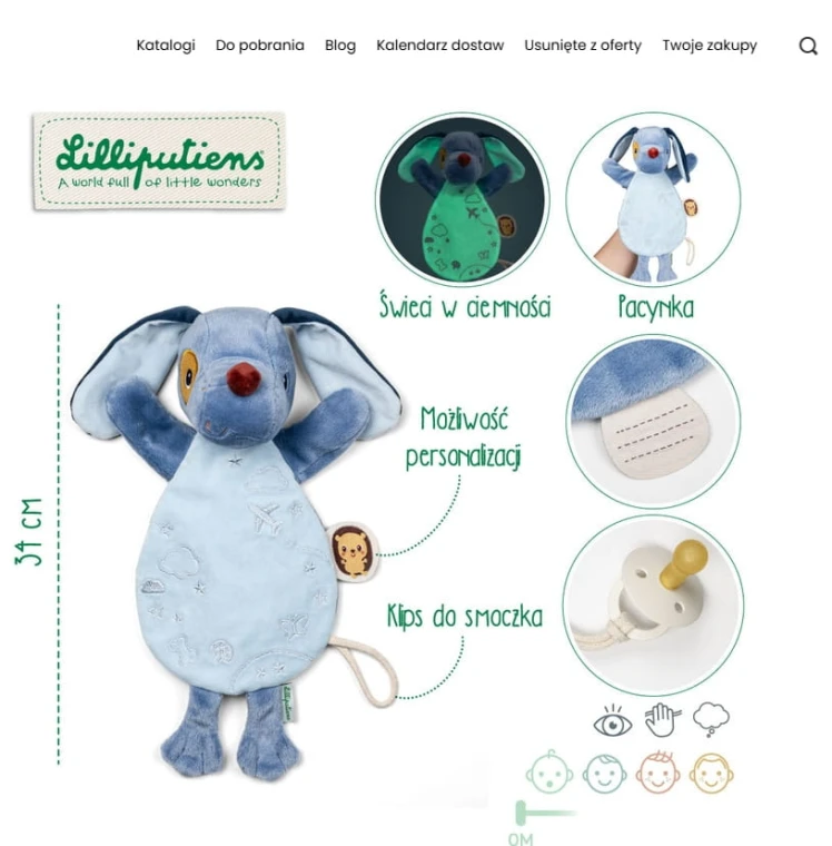 Zrzut ekranu_10-10-2025_161527_www.solution-bc.pl.jpeg