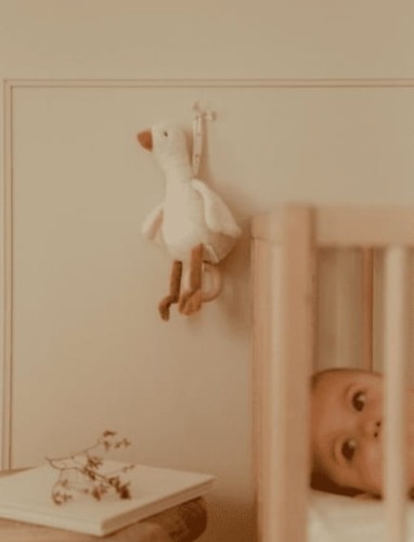 Zrzut ekranu_20-11-2025_15734_kidsinspirations.pl.jpeg