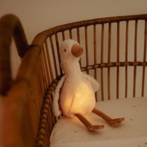 Zrzut ekranu_20-11-2025_164635_kidsinspirations.pl.jpeg