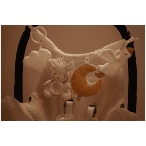 pol_pl_Little-Dutch-Zawieszka-interaktywna-do-wozka-fotelika-Newborn-Naturals-5351_1.png