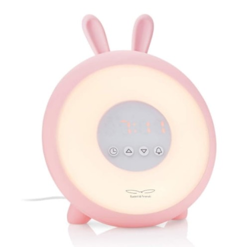 Zrzut ekranu_4-9-2025_152617_www.regnum.pl.jpeg