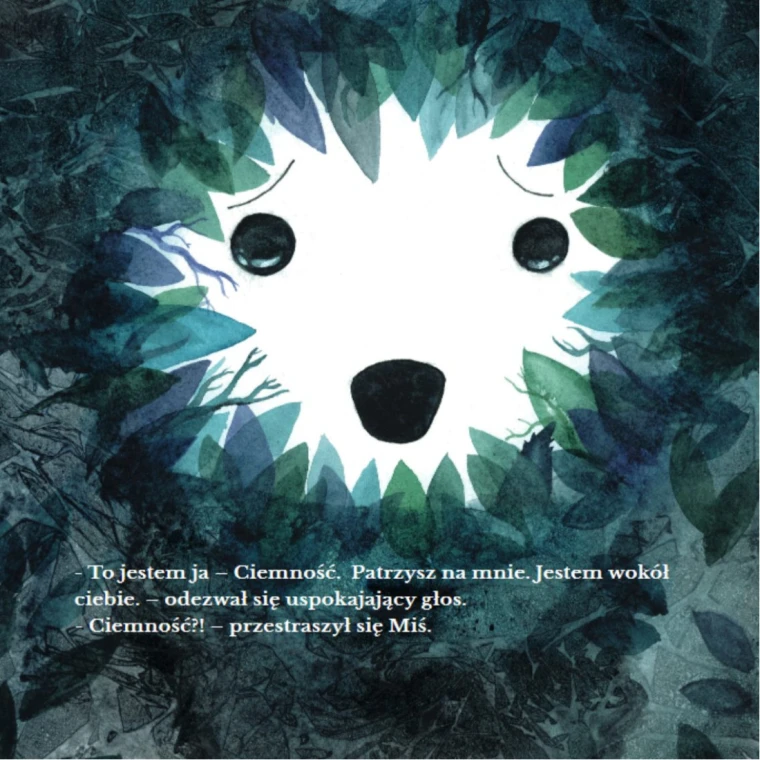mis-i-ciemnosc-ksiazka (3).jpg