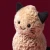 Wesoly-Fistaszek-Kot-15-cm--Jellycat-Halloween (3).webp