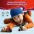 OIP.webp