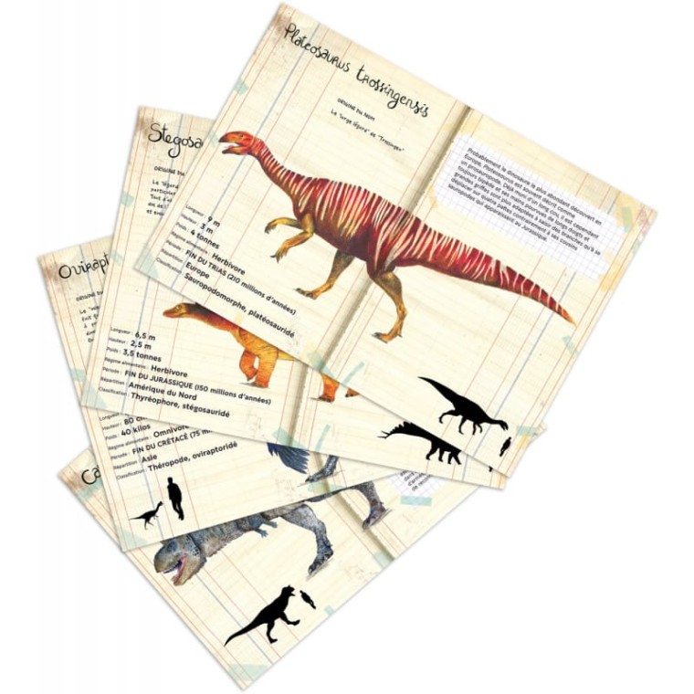 vilac-magnesy-drewniane-dinozaury-z-kartami-edukacyjnymi-9624-4.jpg