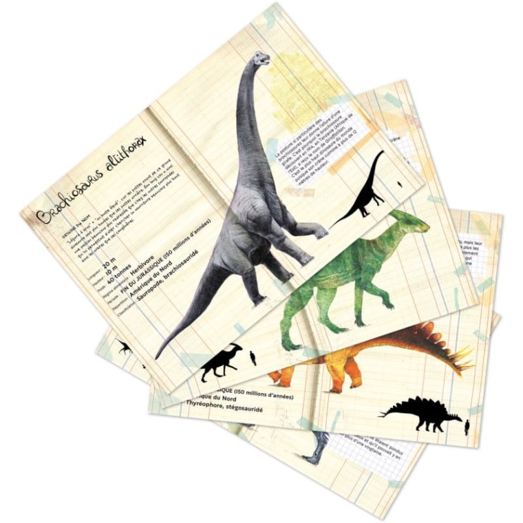 vilac-magnesy-drewniane-dinozaury-z-kartami-edukacyjnymi-9624-3.jpg