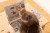 IMG_9208.jpeg